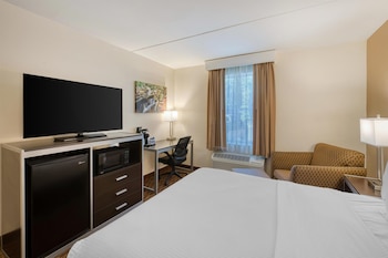 Standard Room, 1 Queen Bed, Accessible, Refrigerator & Microwave