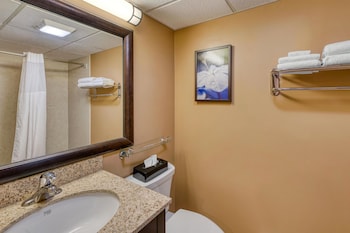 Standard Room, 1 King Bed, Non Smoking, Refrigerator & Microwave