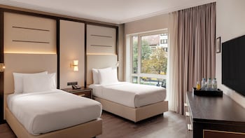 Room, 1 Double Bed, Accessible