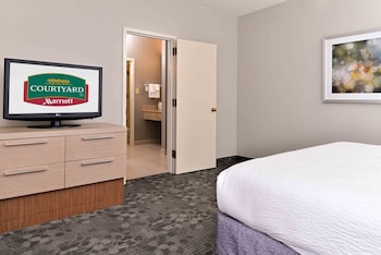 Room, 1 King Bed with Sofa bed