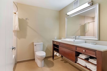 Standard Room, Multiple Beds, Non Smoking, Refrigerator & Microwave