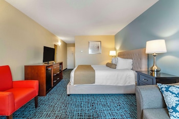 Standard Room, 1 King Bed, Accessible, Refrigerator & Microwave (with Sofabed)