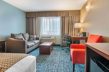 Standard Room, 1 King Bed, Accessible, Refrigerator & Microwave (with Sofabed)