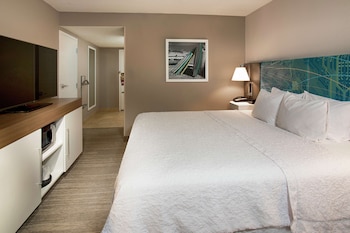 Room, 1 King Bed, Accessible, Non Smoking (Roll In Shower)