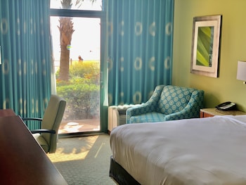 Suite, 1 Bedroom