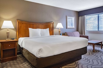 Executive Room, 1 King Bed, Non Smoking (Forest View)