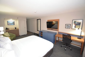 Room, 1 King Bed, Non Smoking