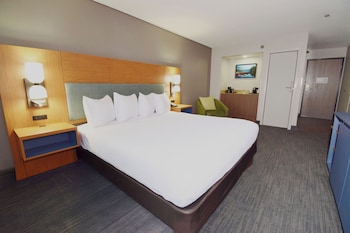 Room, 1 King Bed, Accessible, Non Smoking (Roll-in Shower)