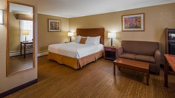Standard Room, 1 King Bed, Non Smoking, Refrigerator & Microwave (Larger Room;with Sofabed)