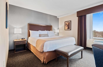 Standard Room, 1 King Bed, Jetted Tub, Tower (Shower Only)