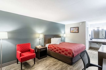 Room, 1 King Bed, Accessible, Non Smoking