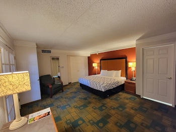 Suite, 1 King Bed, Non Smoking (1-Bedroom)