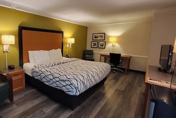 Room, 1 King Bed, Non Smoking