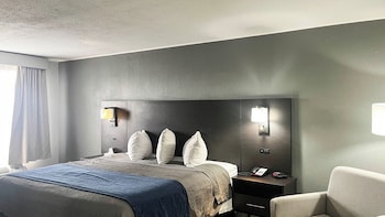 Deluxe Room, 1 Queen Bed, Non Smoking (Refrigerator & Microwave)