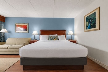 Standard Room, 1 King Bed