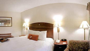 Room, 1 King Bed with Sofa bed, Non Smoking (Study)
