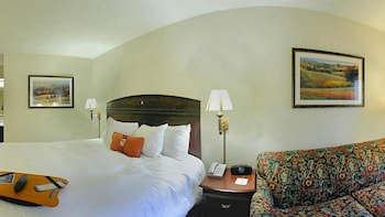 Room, 1 King Bed with Sofa bed, Non Smoking (Study)