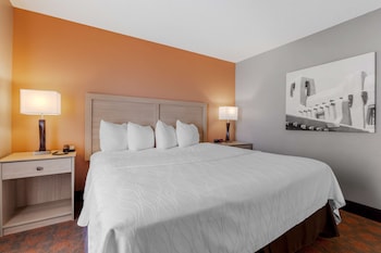 Standard Room, 1 King Bed, Non Smoking, Refrigerator & Microwave