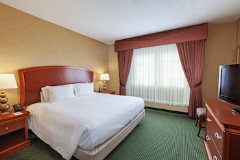 Room, 1 King Bed with Sofa bed, Mobility Accessible, Microwave