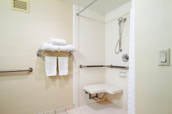 Suite, 1 King Bed with Sofa bed, Mobility Accessible, Microwave