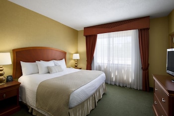 Room, 1 King Bed with Sofa bed, Mobility Accessible, Microwave