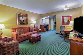 Room, 1 King Bed with Sofa bed, Mobility Accessible, Microwave