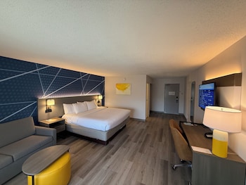 Standard Room, 1 King Bed with Sofa bed, Non Smoking