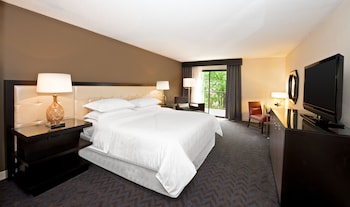 Room, 1 King Bed (Mobility/Hearing Accessible, Tub)