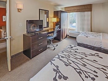 Suite, Multiple Beds, Non Smoking