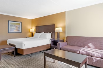 Suite, 1 King Bed, Non Smoking, Refrigerator & Microwave (Larger Room;with Sofabed)