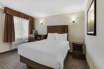 Standard Room, 1 King Bed, Non Smoking, Refrigerator & Microwave