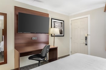 Standard Room, 1 Double Bed, Non Smoking, Refrigerator & Microwave