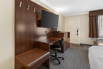 Standard Room, 1 King Bed, Non Smoking, Refrigerator & Microwave (with Single Sofabed)