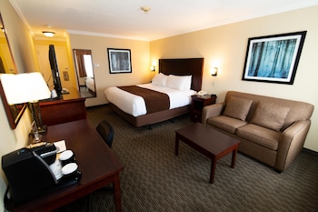 Standard Room, 1 King Bed, Non Smoking, Refrigerator & Microwave (with Single Sofabed)