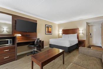 Suite, 1 King Bed, Non Smoking, Refrigerator & Microwave (Larger Room;with Sofabed)