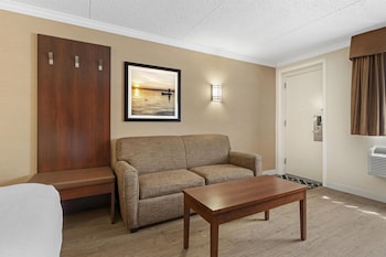 Standard Room, 1 Queen Bed, Refrigerator & Microwave, Ground Floor (with Sofabed)