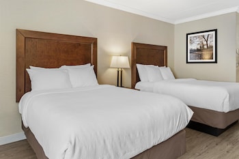 Standard Room, 2 Double Beds, Accessible, Refrigerator & Microwave (Walk-in Shower)