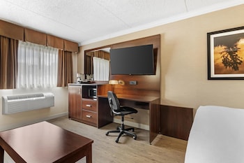 Standard Room, 1 Queen Bed, Refrigerator & Microwave, Ground Floor (with Sofabed)