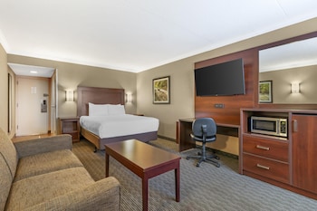 Standard Room, 1 Queen Bed, Refrigerator & Microwave, Ground Floor (with Sofabed)