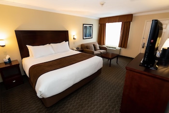 Standard Room, 1 King Bed, Non Smoking, Refrigerator & Microwave (with Single Sofabed)