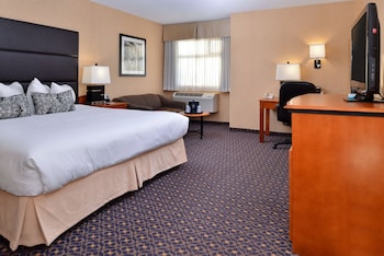 Standard Room, 1 King Bed, Non Smoking, Refrigerator & Microwave (with Single Sofabed)