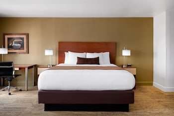 Suite, 1 King Bed, Non Smoking, Microwave