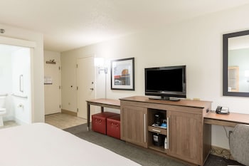 Room, 1 King Bed, Accessible