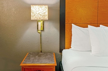 Suite, 1 King Bed