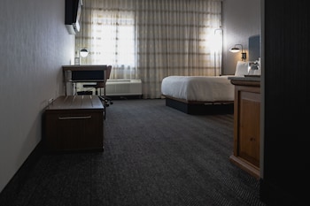 Room, 1 Queen Bed (Mobility/Hearing Access, Roll-In Shwr)