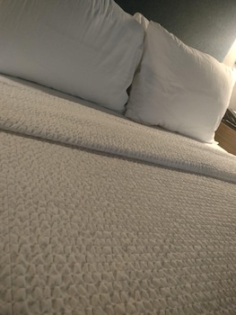 Room, 1 Queen Bed (Mobility/Hearing Access, Roll-In Shwr)