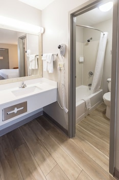 Room, 1 King Bed, Smoking (Pet-Friendly)