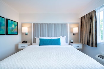 Executive Suite, 1 King Bed, Non Smoking, Refrigerator (with Sofabed)