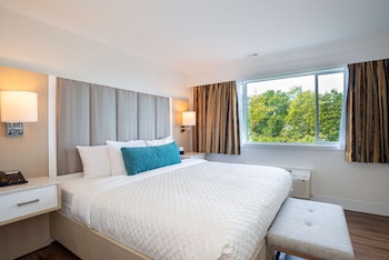 Executive Suite, 1 King Bed, Non Smoking, Refrigerator (with Sofabed)