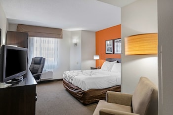 Room, 1 Queen Bed, Accessible, Non Smoking